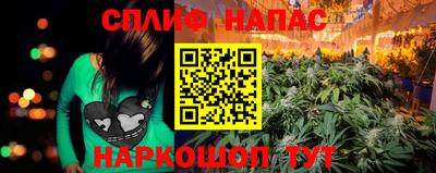 прущие грибы Моздок
