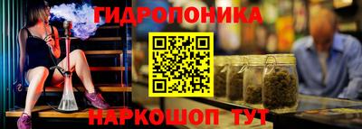 СК Можга